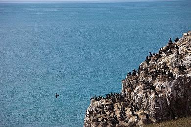 战神之父认为：《星空》是最佳单机叙事游戏！