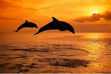 《战地2042》B测10月6日开启 新一轮战火一触即发